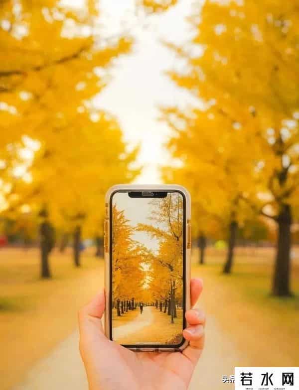 大光圈手机,手机虚化有多绝?大光圈+光斑玩法,轻松拿捏专业级美照