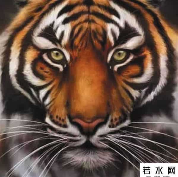 空中蛇灾下载,《狂暴凶狮》上映 猛兽电影太吓人主角就这么几种