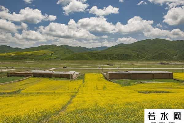 发现旅行,高原之上,金黄一隅教我发现旅行的意义