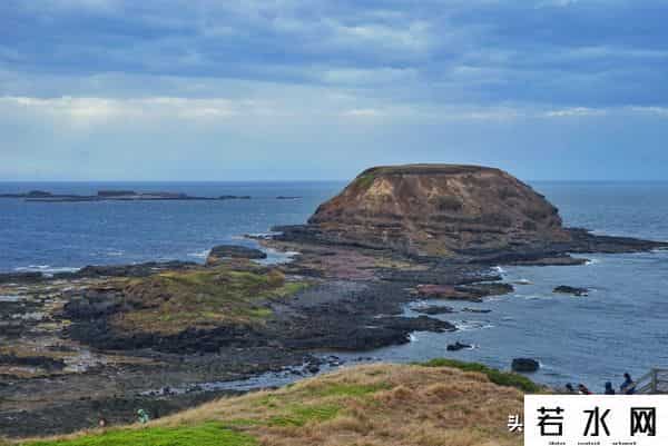 woola,放慢脚步游澳洲（4）企鹅岛，我和自然有个约定