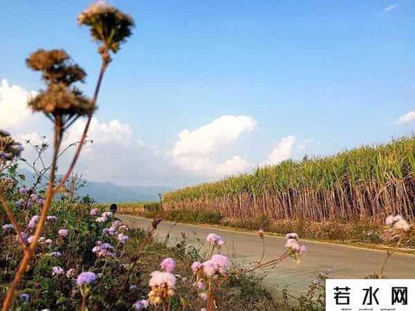 百度美拍图片,旅拍大师？其实他们只用了一部手机而已