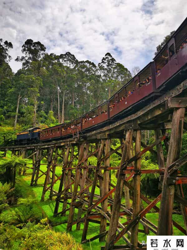 woola,放慢脚步游澳洲（4）企鹅岛，我和自然有个约定