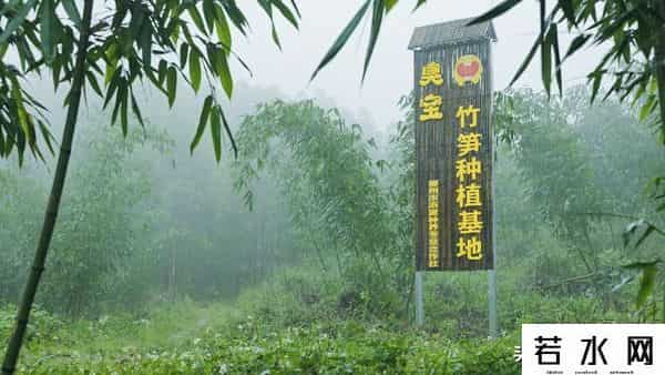 微念,以供应链为核心，米线行业龙头微念打造米粉增长新引擎