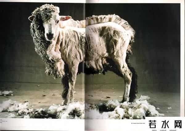 贝纳通广告,时装品牌的广告是不是正变得越来越无趣？