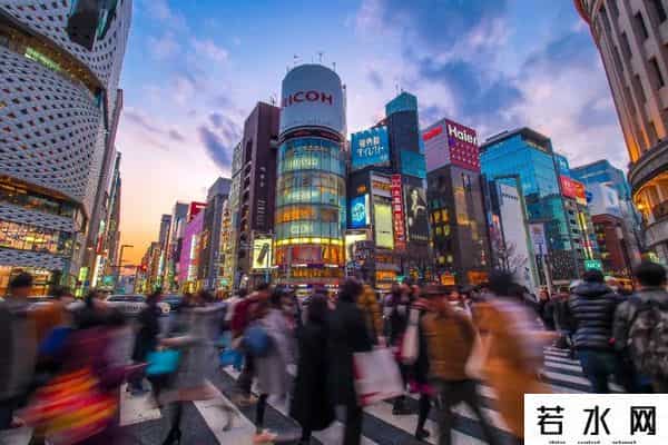 妃鱼,两年,妃鱼如何“游”往欧美 - 逐潮向海