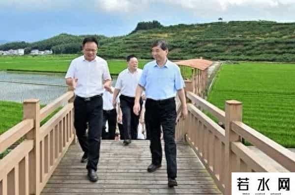 沙县小吃上市,沙县小吃产业升级：从路边摊到全球连锁的逆袭之路