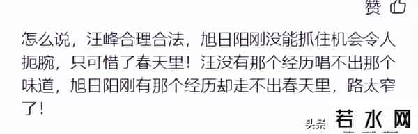 山寨明星,“山寨明星”消亡史:“造假”的人生,假得了一时假不了一世