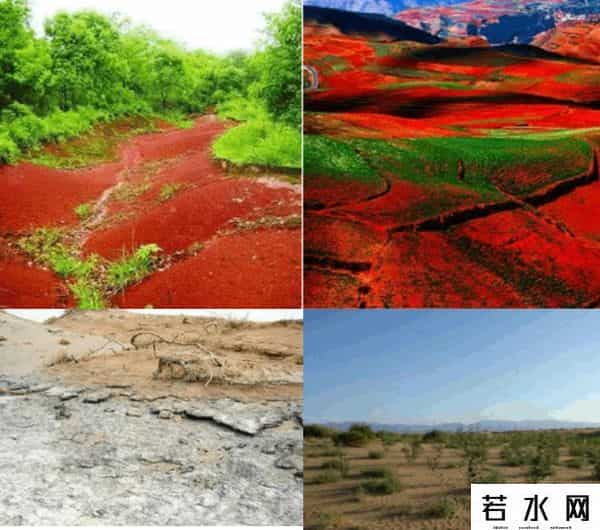 金坷垃 广告,“金坷垃”的真实成分到底是什么？