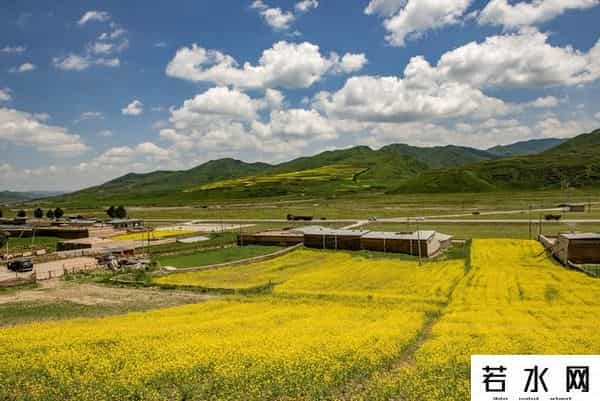 发现旅行,高原之上,金黄一隅教我发现旅行的意义