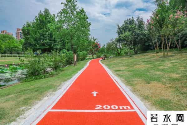 蔷薇九里,松江又添一条滨水健身步道，散步、吸氧、赏景……走起