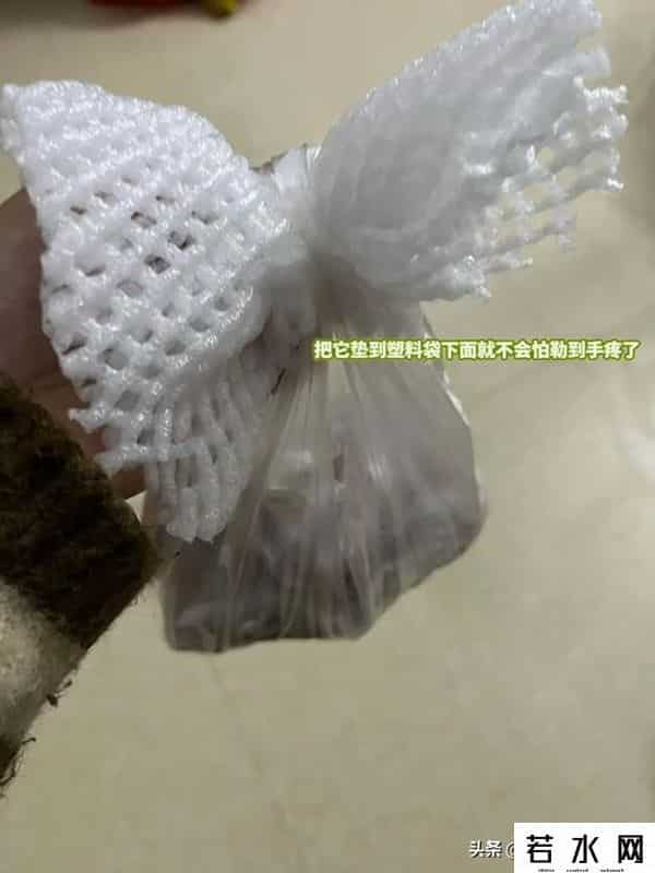 鲜果网,“水果网套”不要扔!简单改造一下,还有大用,后悔才知道