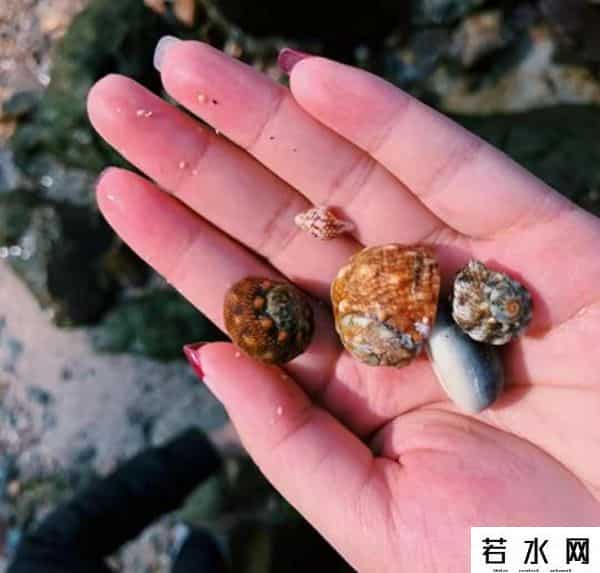 换房游,妻子与闺蜜“换房游”，回来却性情大变，差点离了婚