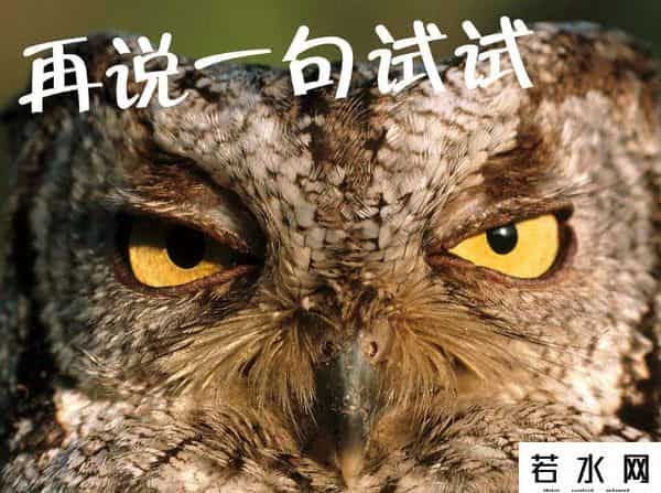 吃掉蔡徐坤,强奸12岁中国少女，美国牧师被判6年监禁