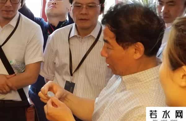 金基南,走进 - 金基·国创园,探讨城市更新样本