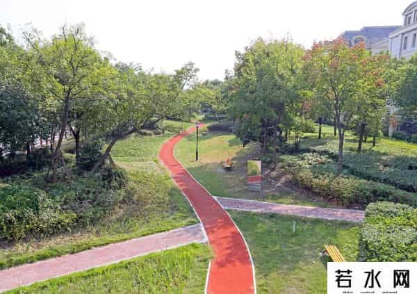 蔷薇九里,松江又添一条滨水健身步道，散步、吸氧、赏景……走起