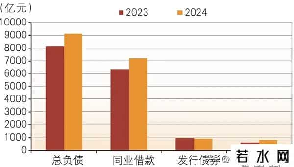 消费金融公司,消费金融公司,2024年发展如何?