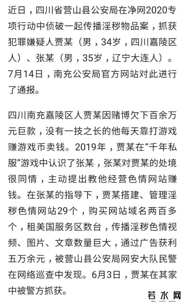 簧片网址,男子建了近30个色情网站,还把教他的网友给"卖"了