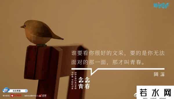 金浩森,嘉宾被「公开处刑」，娱乐圈这黑历史瞒不住了...