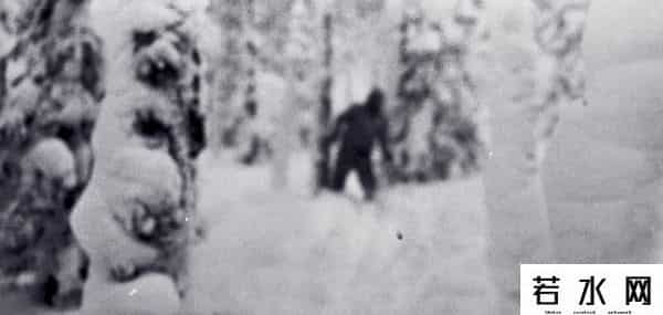大雪怪,俄罗斯8年前现大雪怪,身高2米多体型健壮,至今不知是何生物