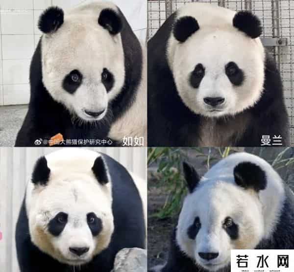 40403,8.13过生日的熊熊们(下)