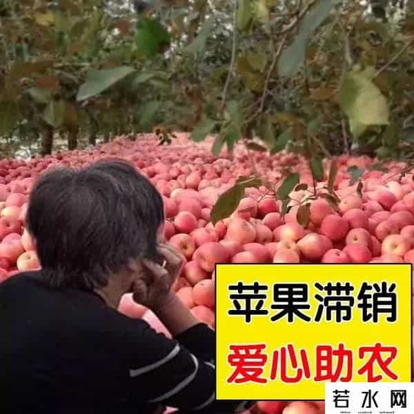 金坷垃,有啥就卖啥，卖啥啥滞销，“金坷垃”大爷火了