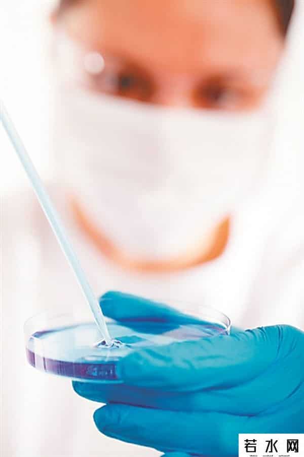 再生时代,“器官再生时代”离我们有多久?