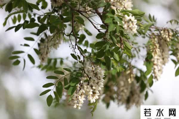 男人变女人,当男人变了心,女人要“先发制人”