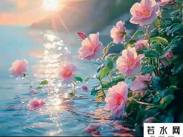 无极速,人间太苦,凡事别往心里去,12句没心没肺,才能活得开心没烦恼