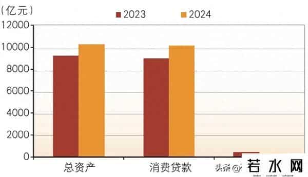 消费金融公司,消费金融公司，2024年发展如何？