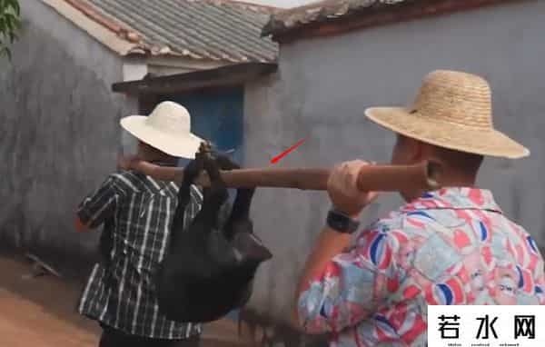 漠叔,漠叔：琼系军阀称霸农村，狗见了都得挨巴掌，真实身份反黑警察？