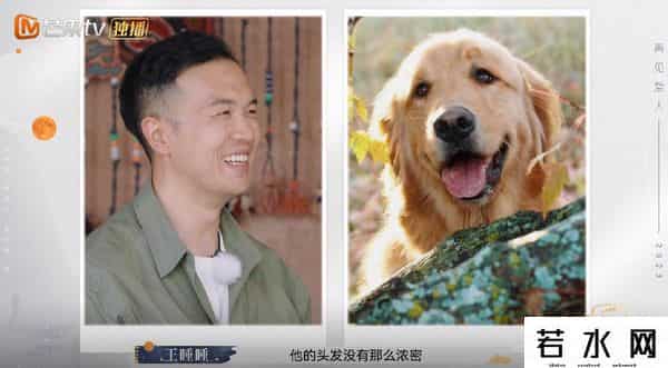 张硕是谁,再见爱人3:啥叫普信?张硕自比张若昀,纪焕博夸王诗晴像张曼玉