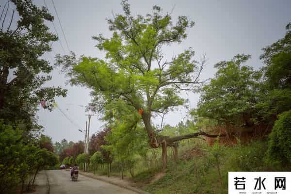 男人变女人,当男人变了心,女人要“先发制人”