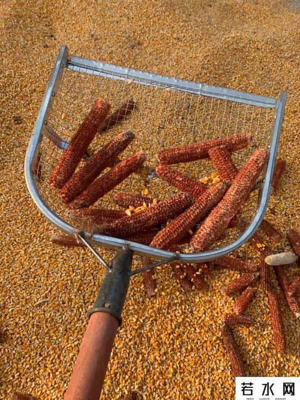 名还行营销,生活中的品牌和营销｜瞎聊聊呗