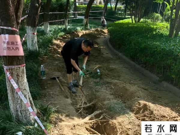 天华硅谷,沿江“找不同”上线，快来挑战！