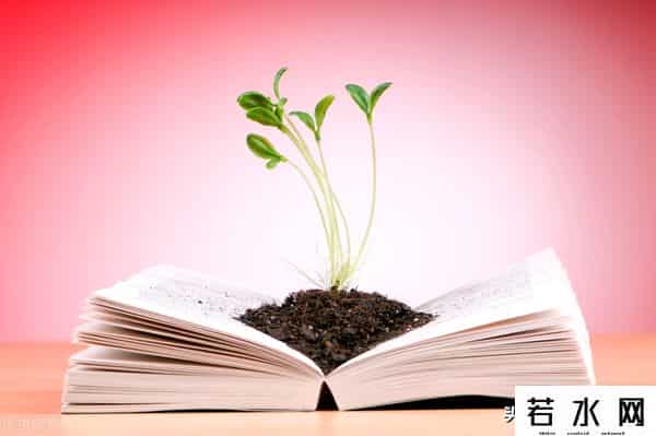 正直的生活,要正直地生活,别想入非非!要诚实地工作,才能前程远大