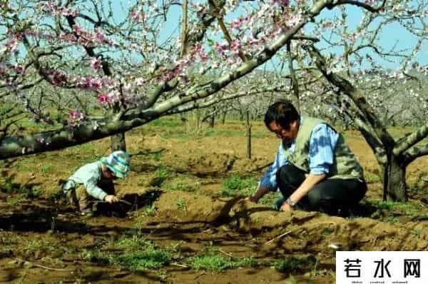 袁野博客,派的爸爸掉进孩子的世界