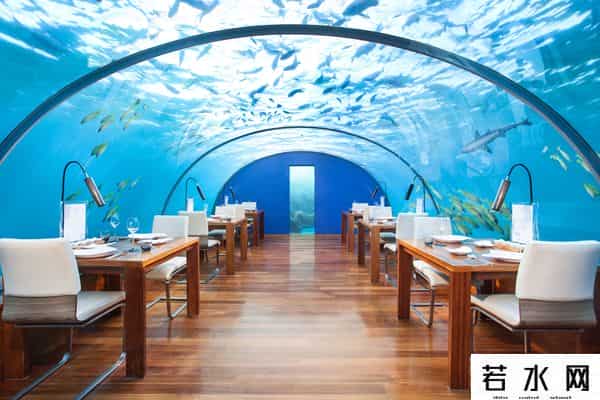 5888港币,盘点世界上最贵餐厅,这些餐厅真是贵到离谱了