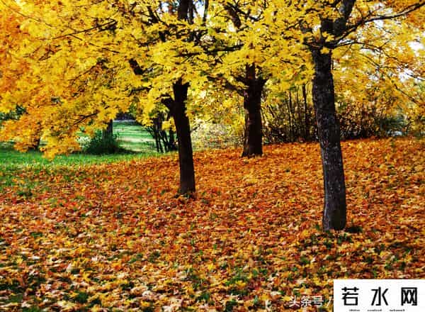 留守女人香,乡村留守女人