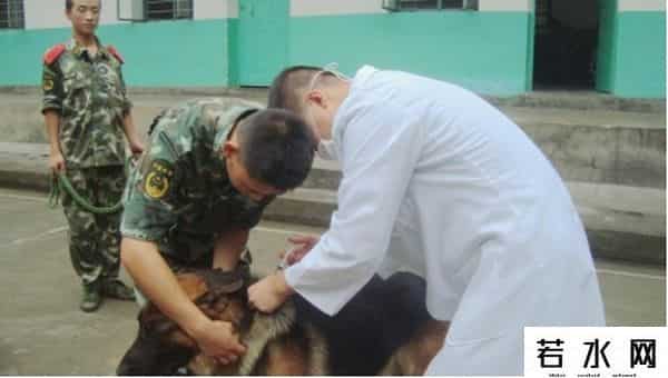 40777,18岁列兵缉毒牺牲 亲属祭扫现场“全员马赛克”