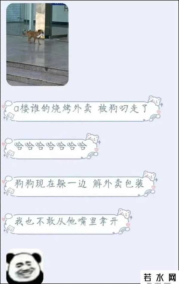 人人表白墙,大学表白墙上,除了表白什么都敢写