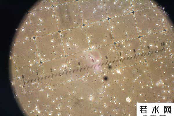 人类精子库,「图集」精子掀起“涨价潮”：镜头下的全球人类精子库