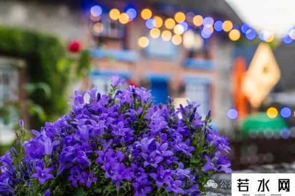 世界最美村庄,绿野仙踪——走进爱尔兰最美村庄阿黛尔