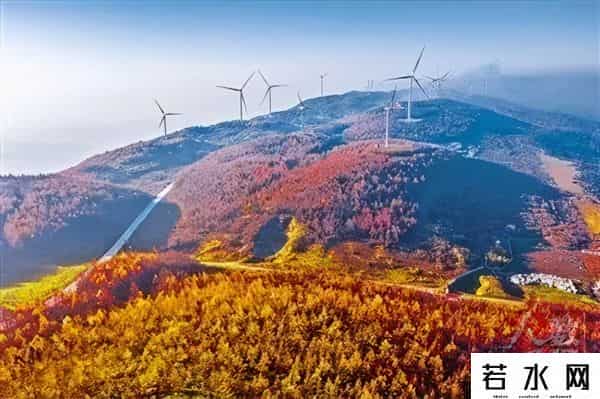 稻田丽森,太美,齐岳山风光在《人民日报》头版刊发