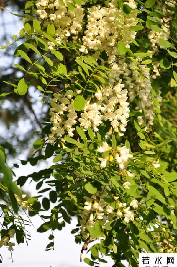 男人变女人,当男人变了心,女人要“先发制人”