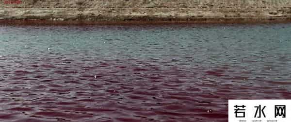 雅虎论坛,这部电影,应该值14亿人次观影