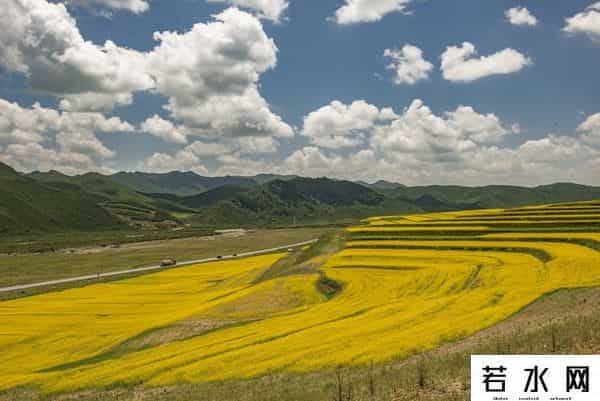 发现旅行,高原之上,金黄一隅教我发现旅行的意义