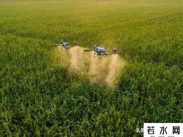 王巍然,武汉新城未来湾项目,打造为农文旅融合示范点,武汉新城新地标。