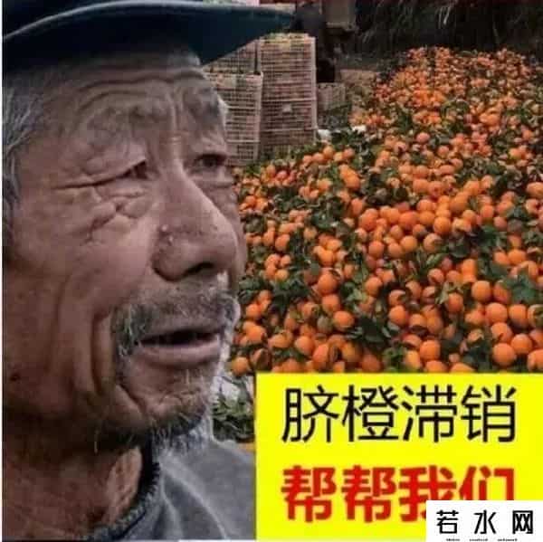 金坷垃,有啥就卖啥，卖啥啥滞销，“金坷垃”大爷火了