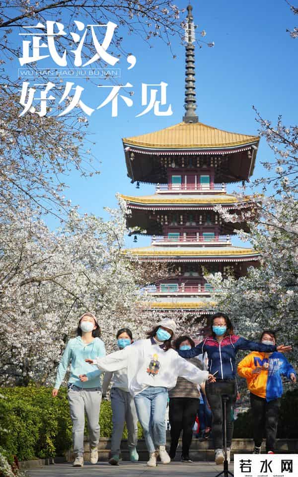 好久不见武汉,武汉,好久不见