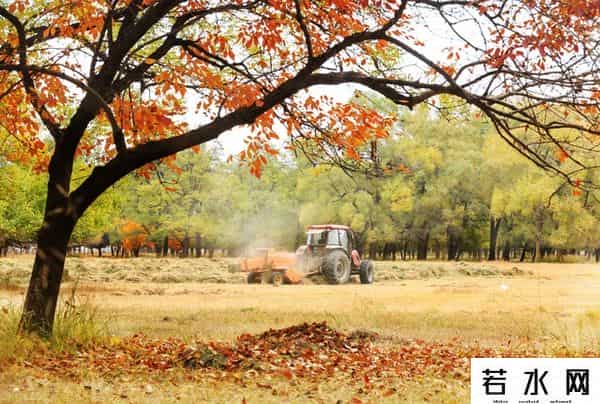 那种,你喜欢秋天那种凉爽吗?